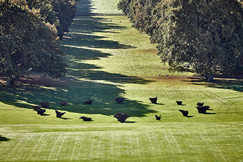 White Deer Circle by Sir Richard Long